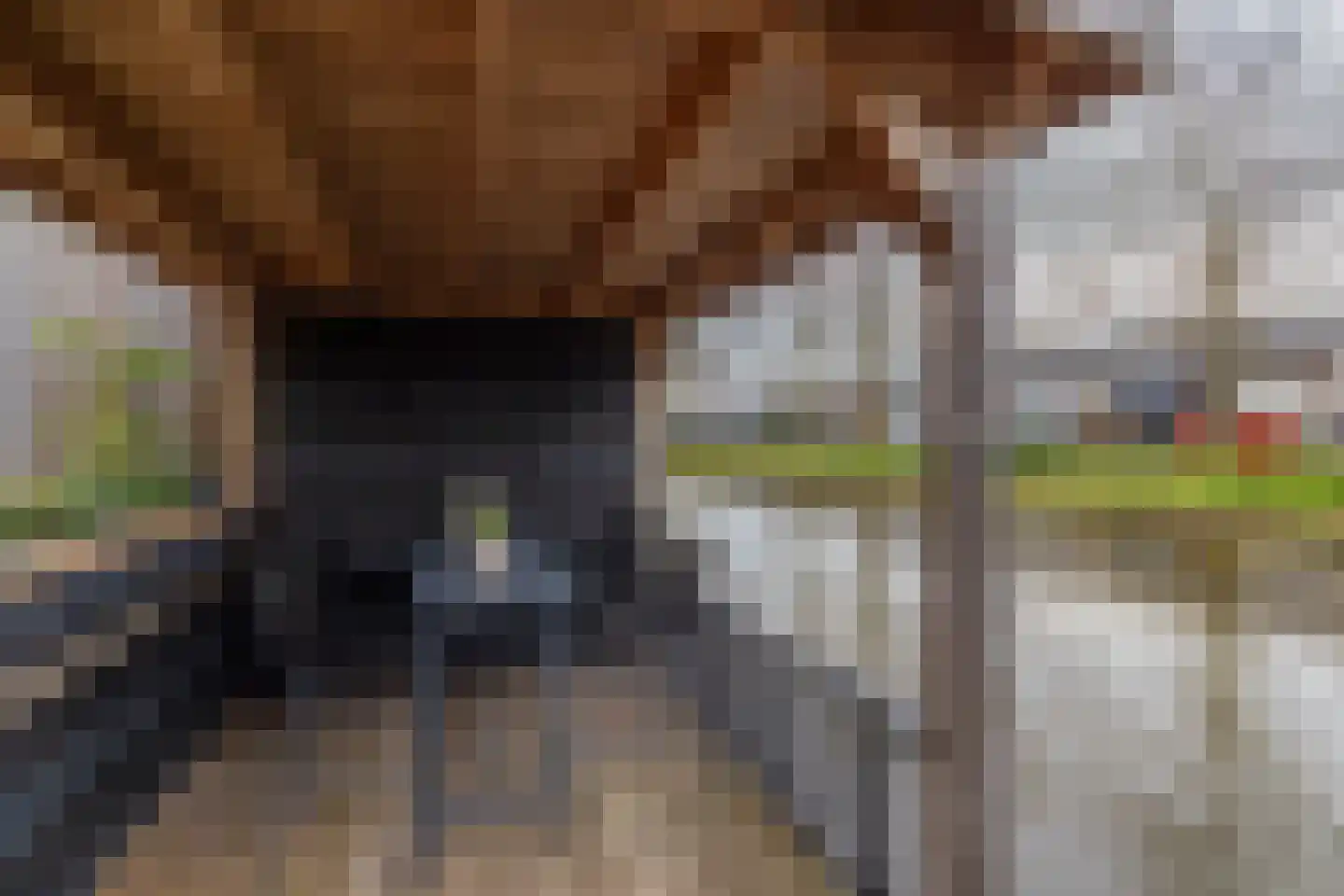 Spechtstraat 11 Lisse thumbnail 47