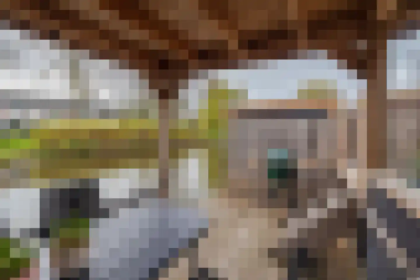 Spechtstraat 11 Lisse thumbnail 48