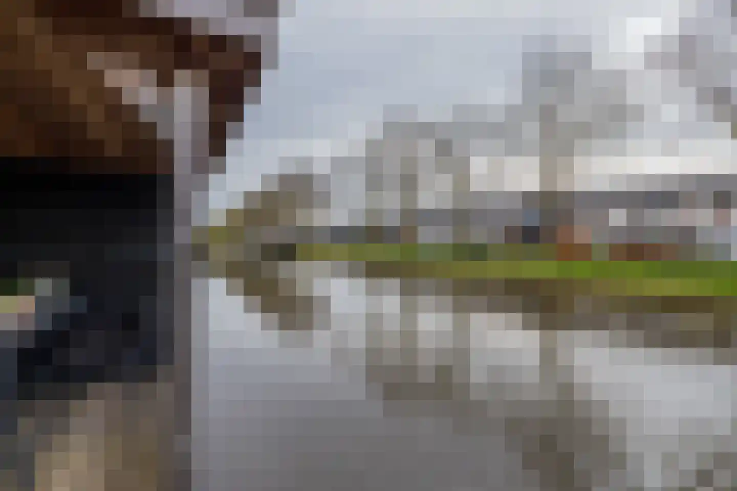 Spechtstraat 11 Lisse thumbnail 49
