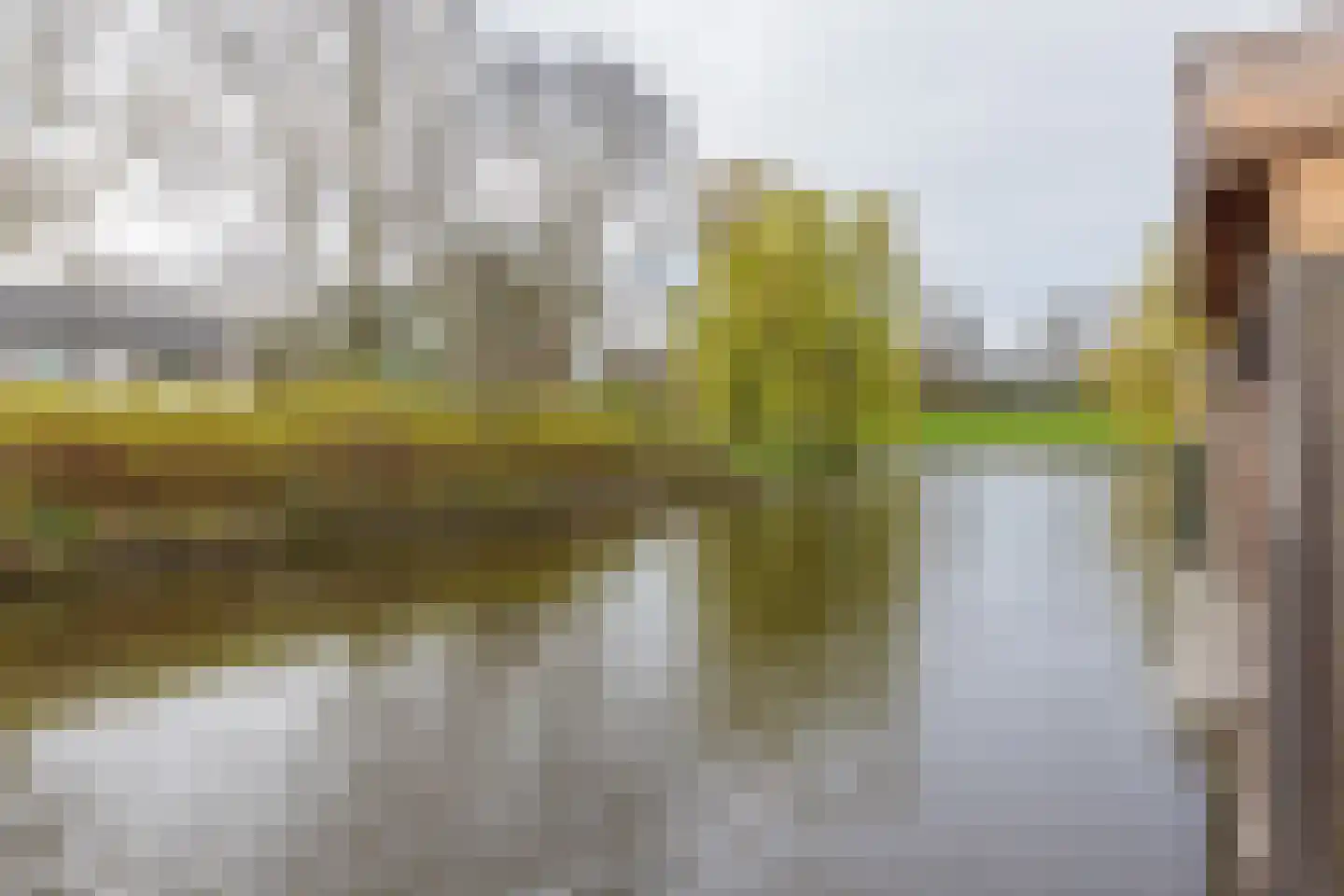Spechtstraat 11 Lisse thumbnail 50