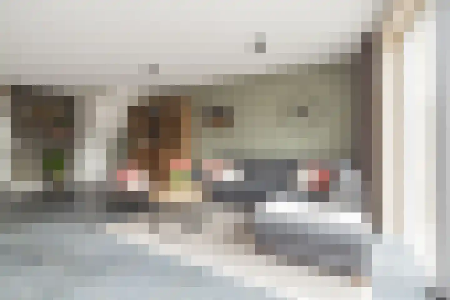 Spechtstraat 11 Lisse thumbnail 6
