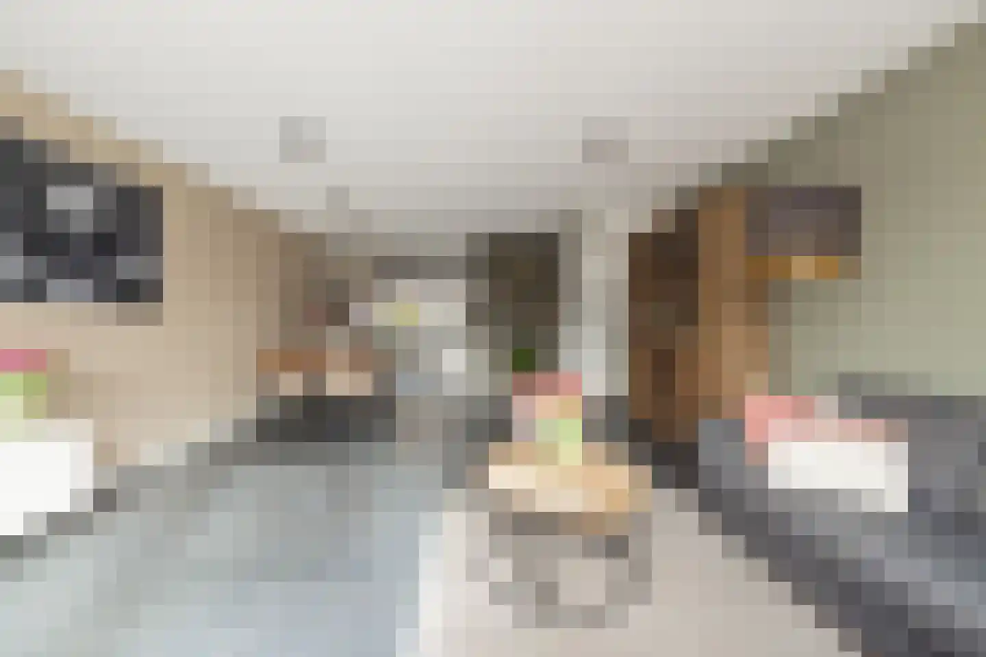 Spechtstraat 11 Lisse thumbnail 8
