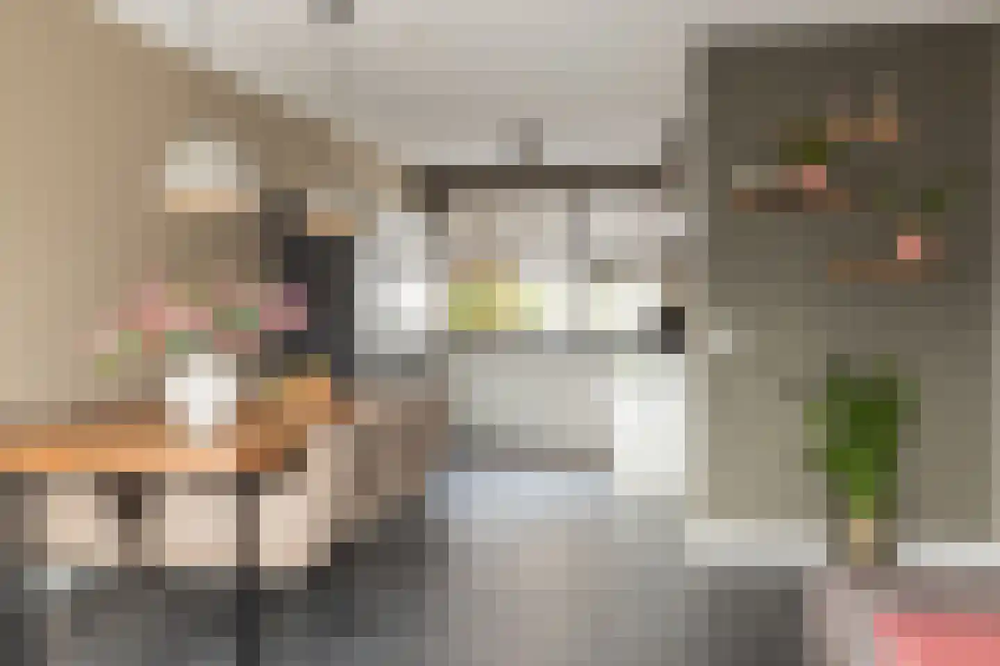 Spechtstraat 11 Lisse thumbnail 9