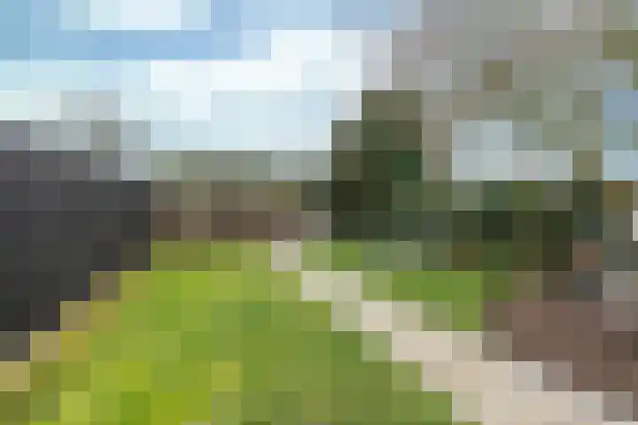 Spechtstraat 15 Kerkrade thumbnail 25