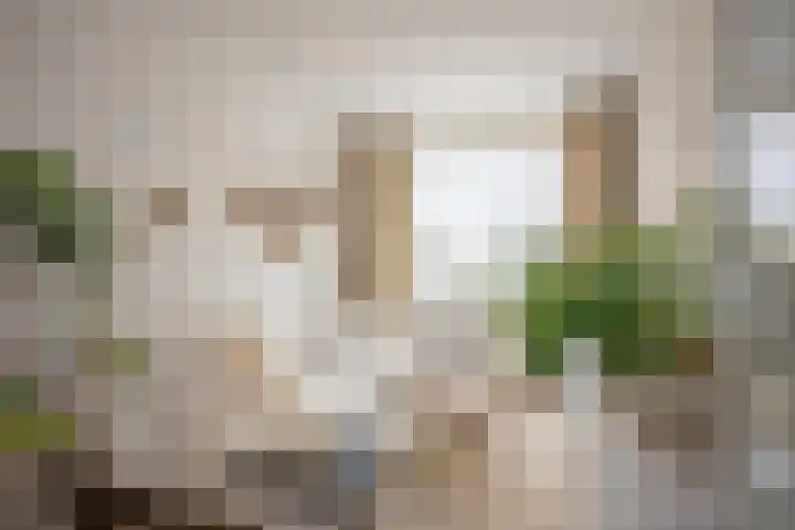 Spechtstraat 15 Kerkrade thumbnail 5