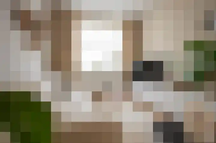 Spechtstraat 15 Kerkrade thumbnail 6