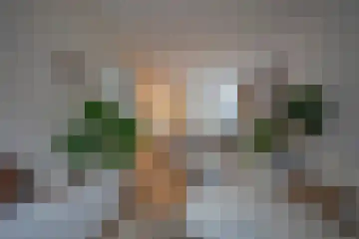 Spechtstraat 15 Kerkrade thumbnail 7