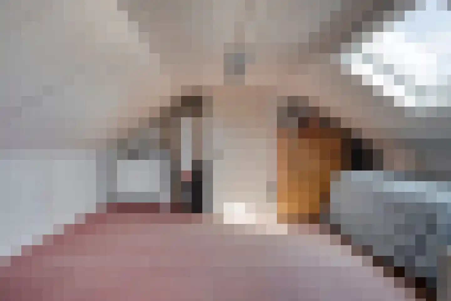 Spechtstraat 2 de Lutte thumbnail 22