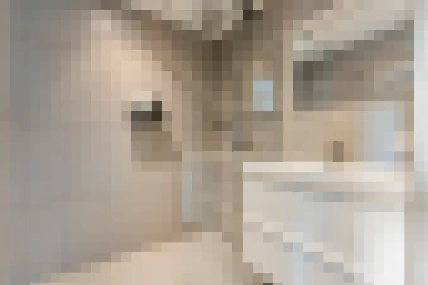 Spechtstraat 2 Hardenberg thumbnail 35