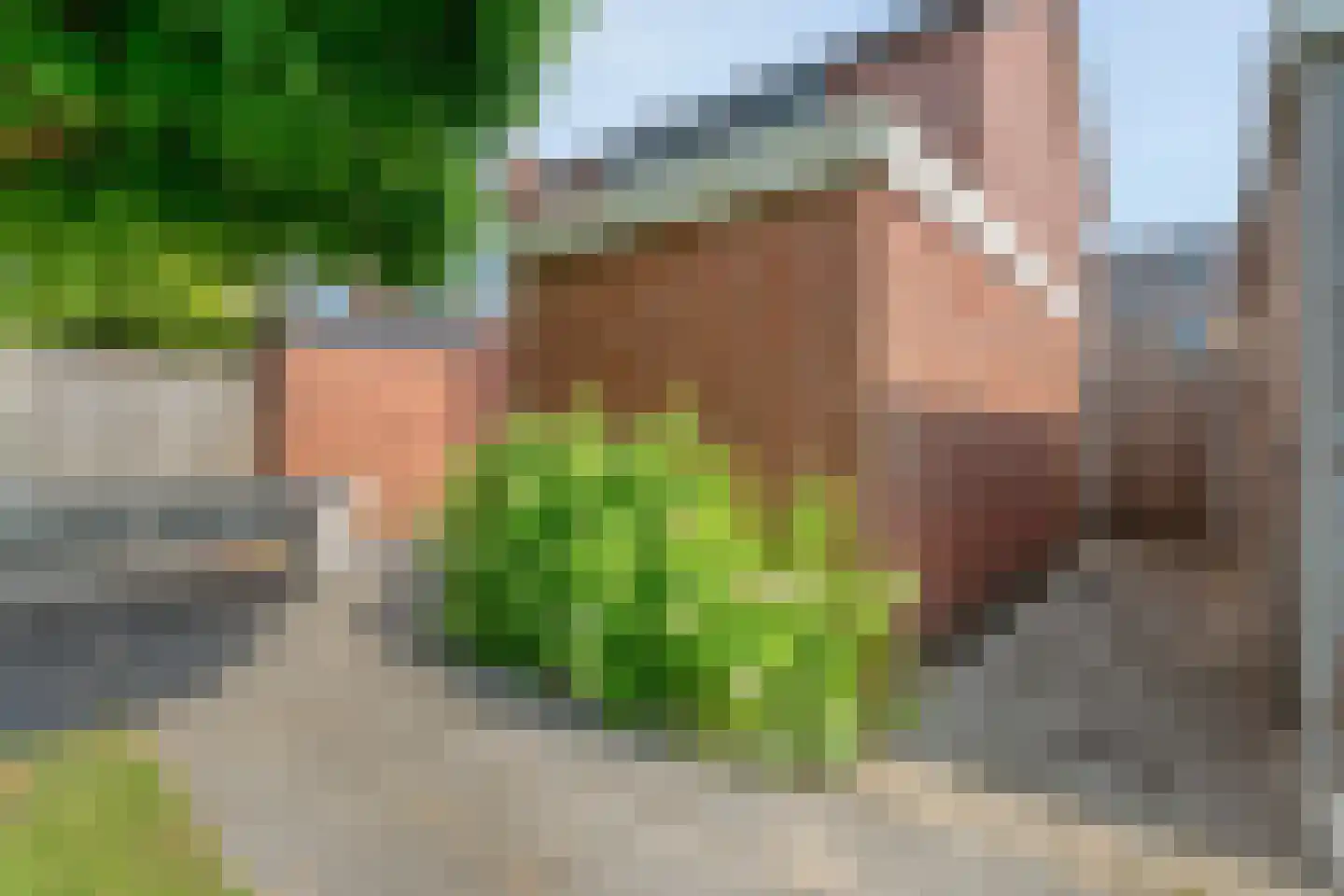 Spechtstraat 2 Hardenberg thumbnail 44