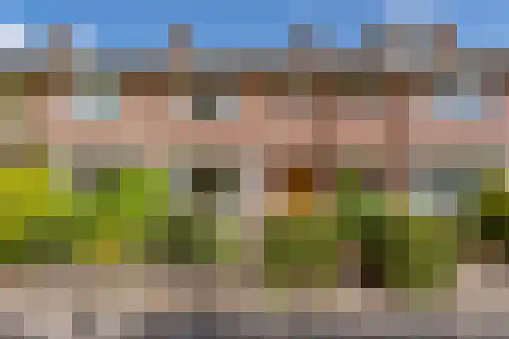 Spechtstraat 20 Badhoevedorp thumbnail 4