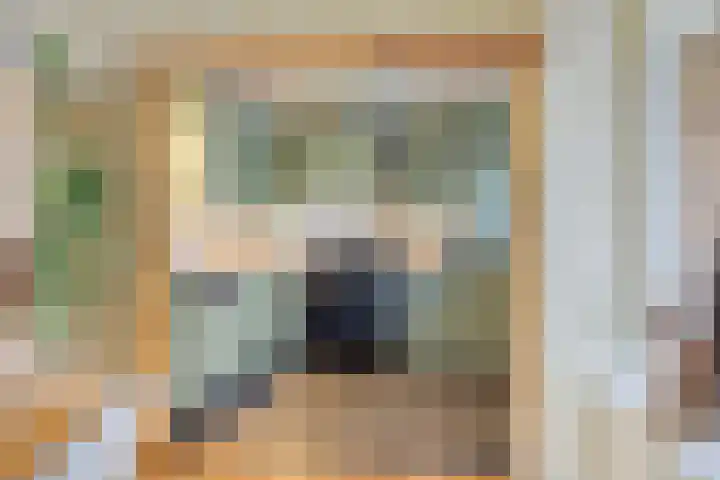 Spechtstraat 20 Goor thumbnail 15