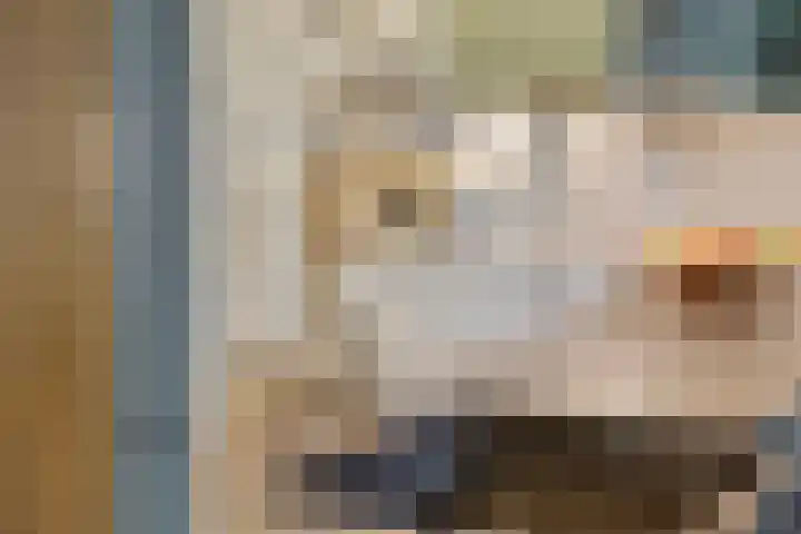 Spechtstraat 20 Goor thumbnail 17