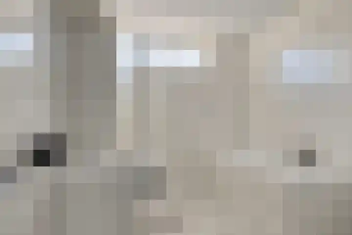 Spechtstraat 20 Goor thumbnail 21