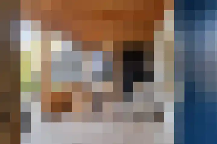 Spechtstraat 20 Goor thumbnail 32