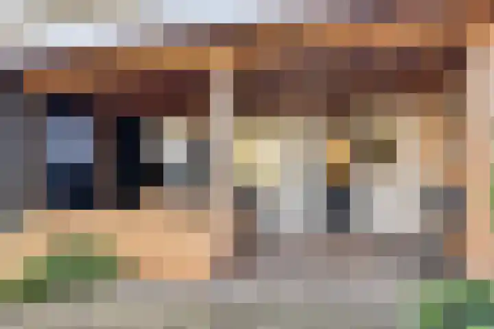 Spechtstraat 20 Goor thumbnail 38