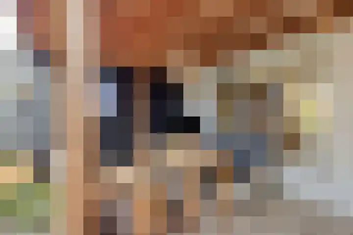 Spechtstraat 20 Goor thumbnail 39