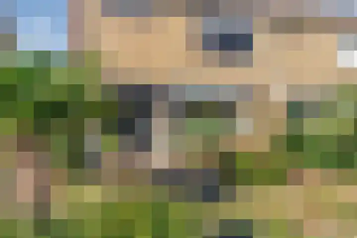 Spechtstraat 20 Goor thumbnail 4