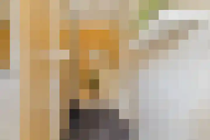 Spechtstraat 20 Goor thumbnail 5