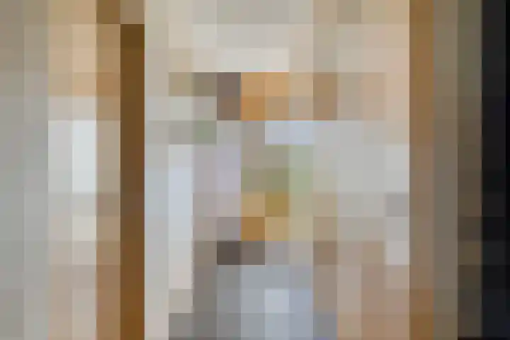 Spechtstraat 20 Goor thumbnail 6