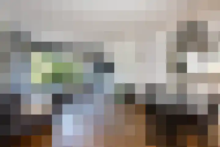 Spechtstraat 22 Haastrecht thumbnail 10