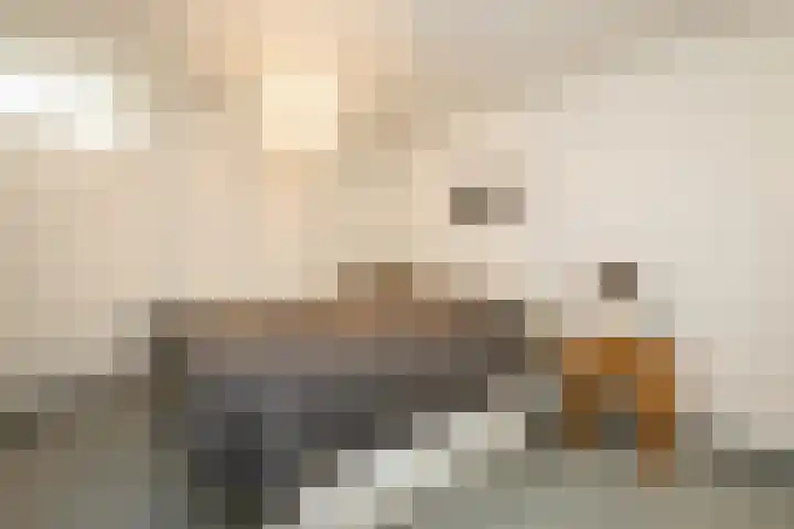 Spechtstraat 22 Haastrecht thumbnail 22
