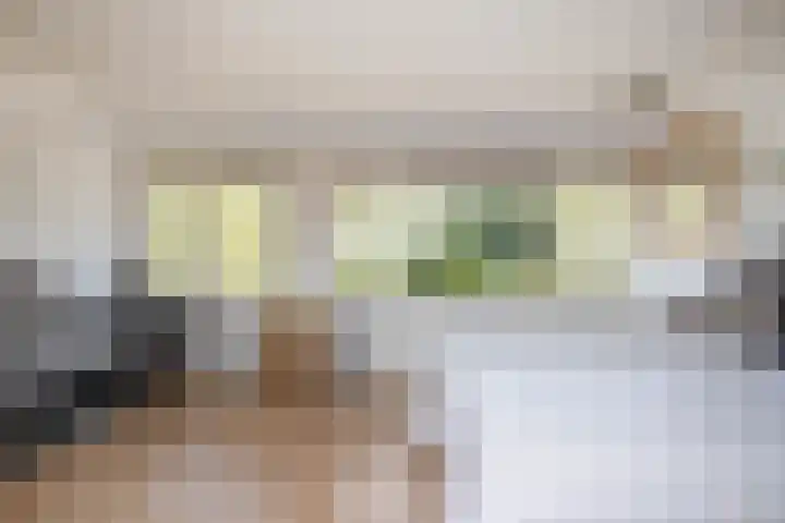 Spechtstraat 22 Haastrecht thumbnail 32