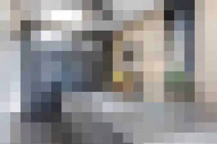 Spechtstraat 22 Haastrecht thumbnail 4