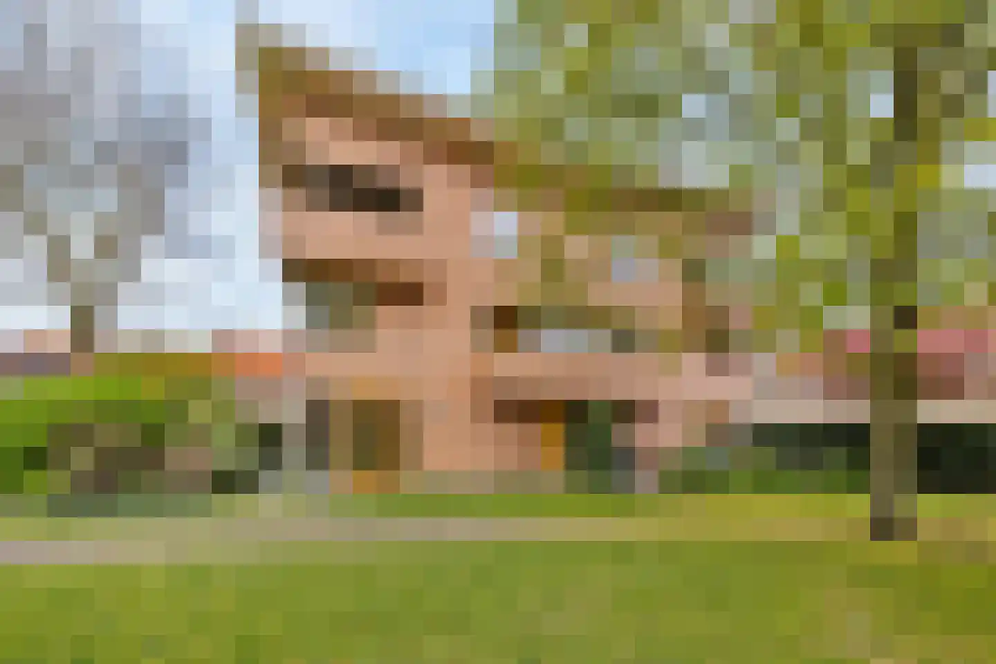 Spechtstraat 24 Hilversum thumbnail 26