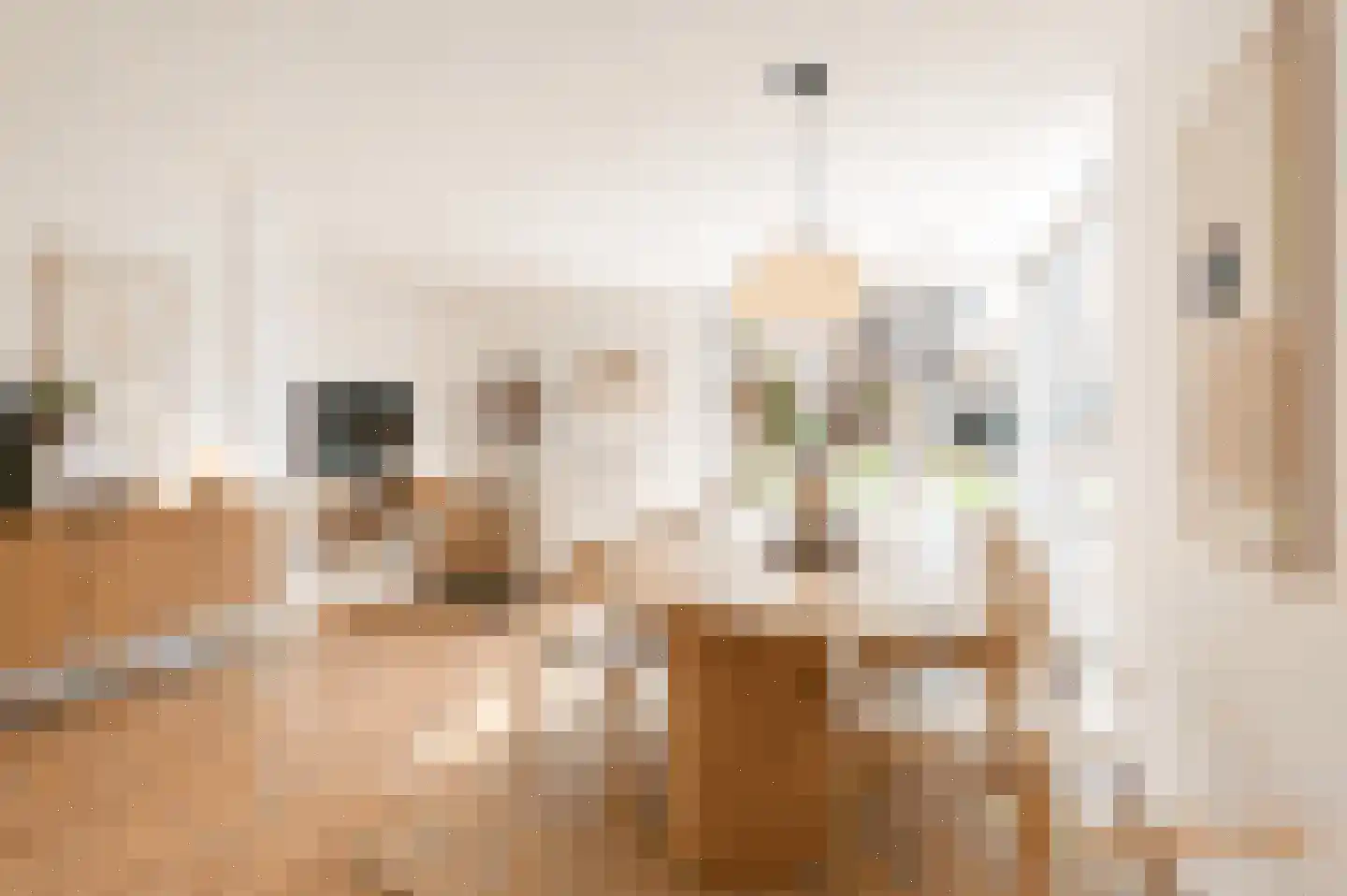 Spechtstraat 24 Hilversum thumbnail 4