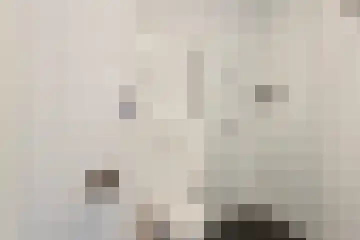 Spechtstraat 25 Eygelshoven thumbnail 25