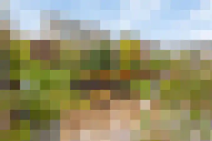 Spechtstraat 25 Eygelshoven thumbnail 32