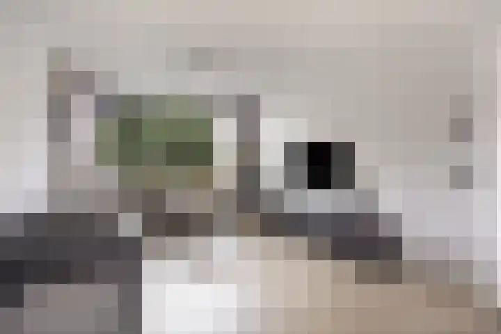 Spechtstraat 26 Opheusden thumbnail 4