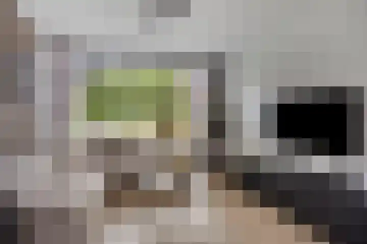 Spechtstraat 26 Opheusden thumbnail 5