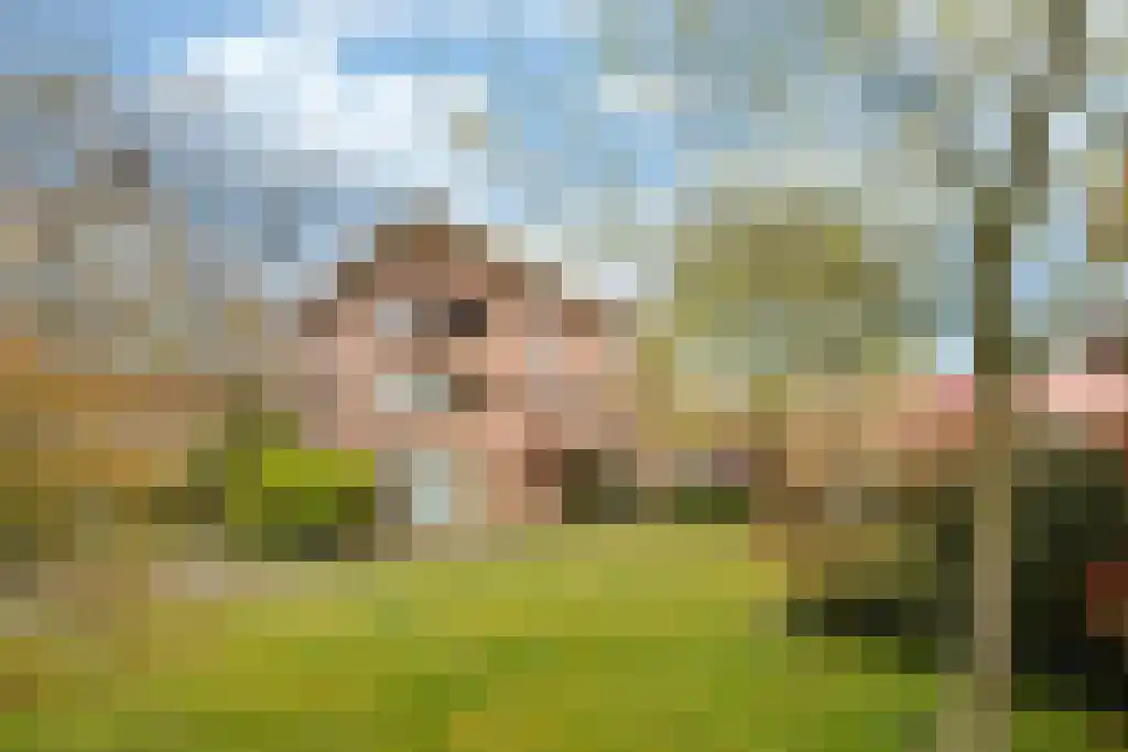 Spechtstraat 30 Hilversum thumbnail 22