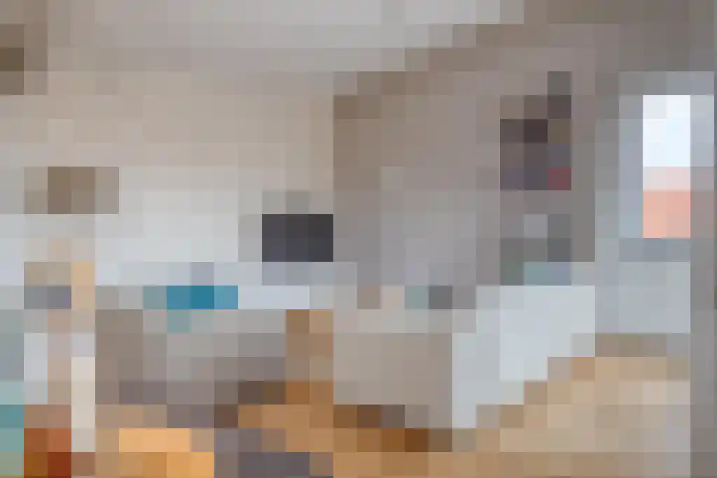Spechtstraat 30 Hilversum thumbnail 9