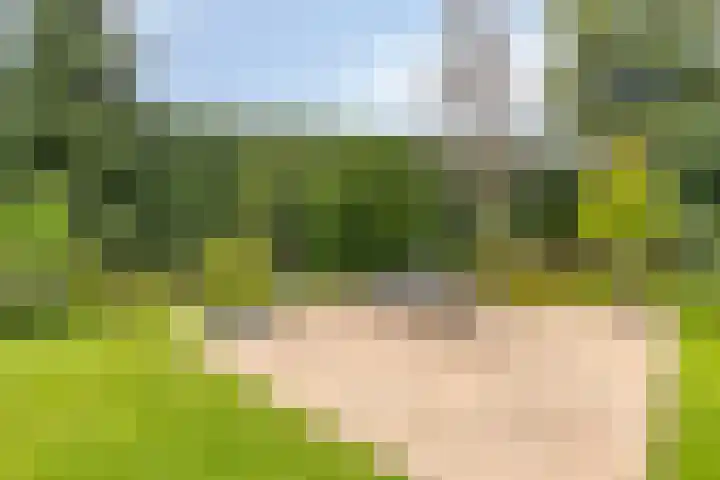 Spechtstraat 36 Duiven thumbnail 42