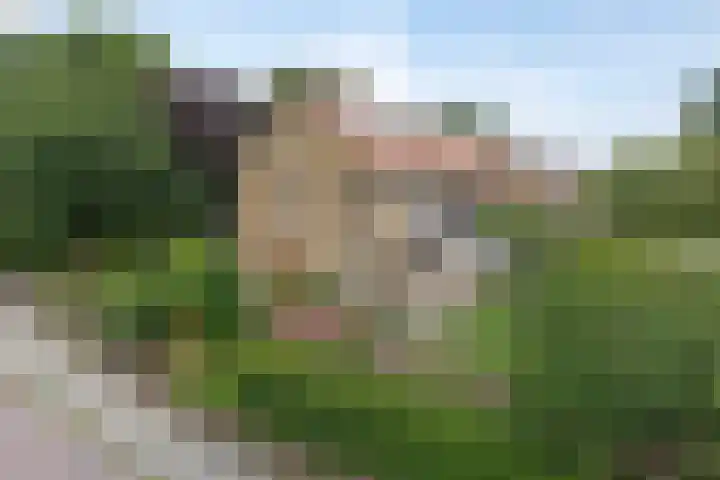 Spechtstraat 36 Duiven thumbnail 7