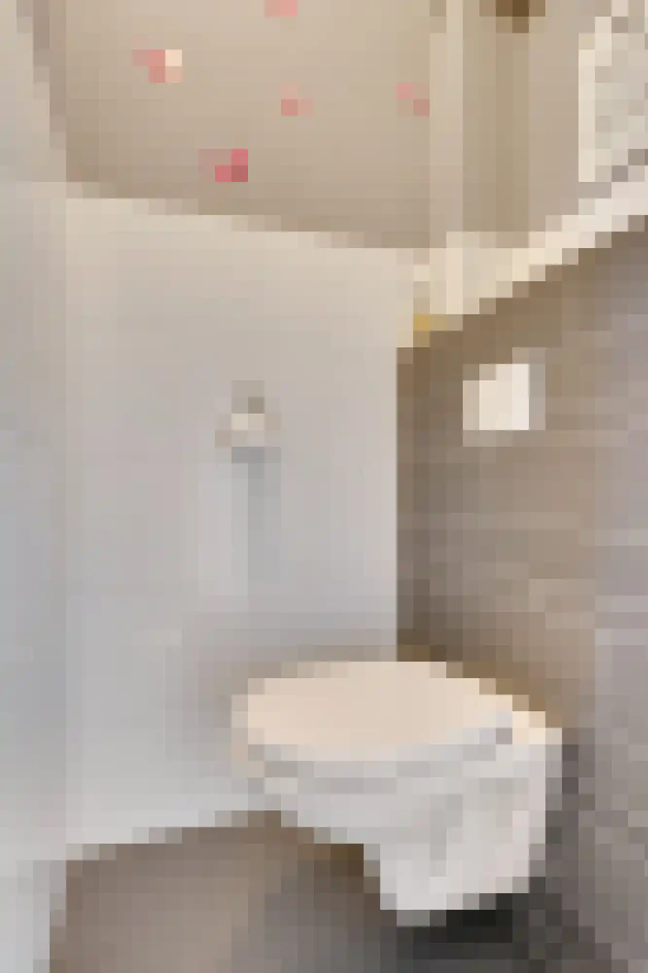 Spechtstraat 4 Duiven thumbnail 10