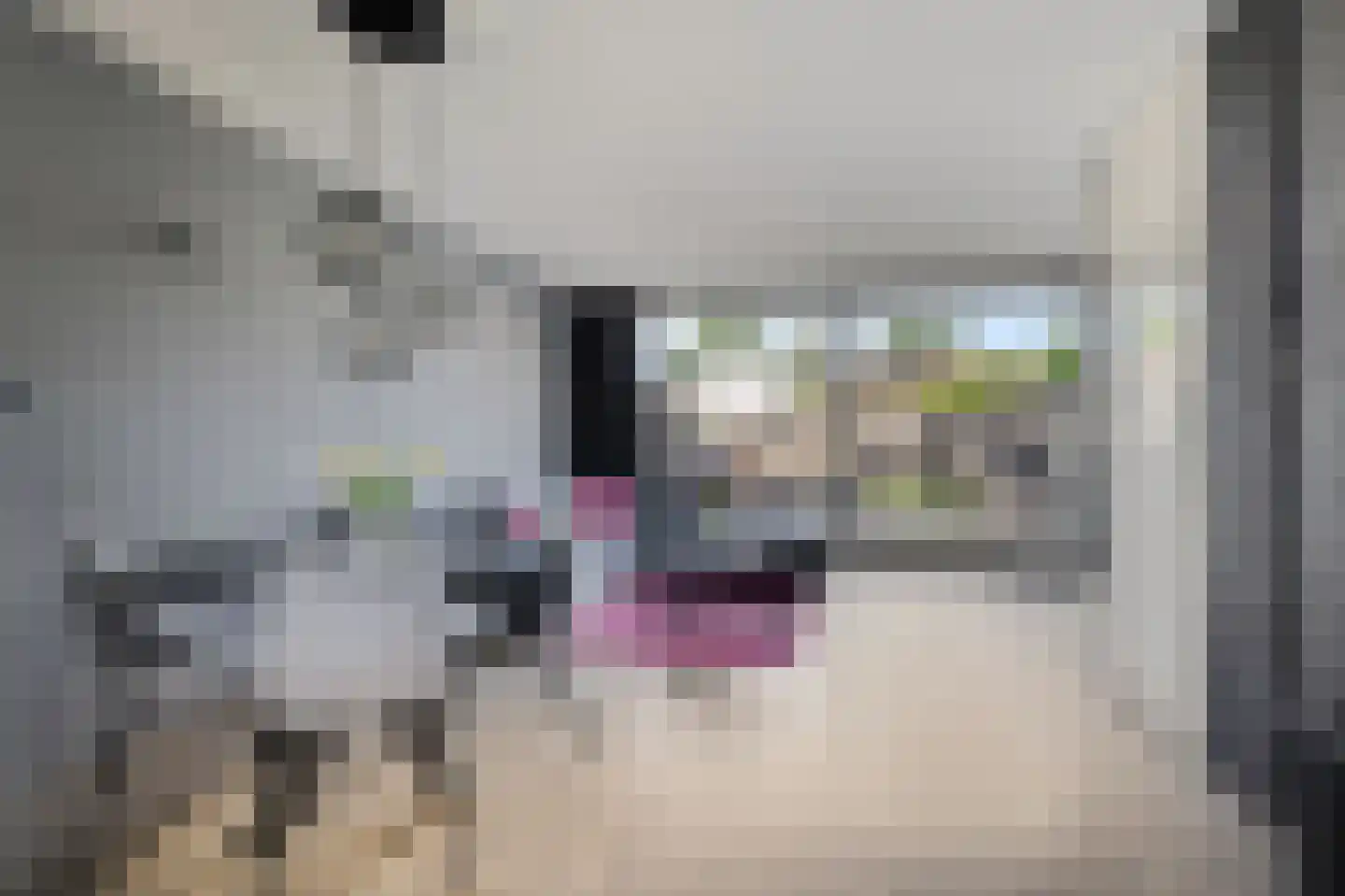 Spechtstraat 4 Duiven thumbnail 12