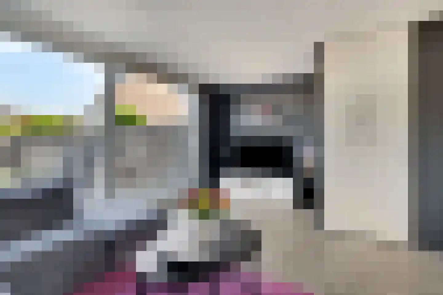 Spechtstraat 4 Duiven thumbnail 15