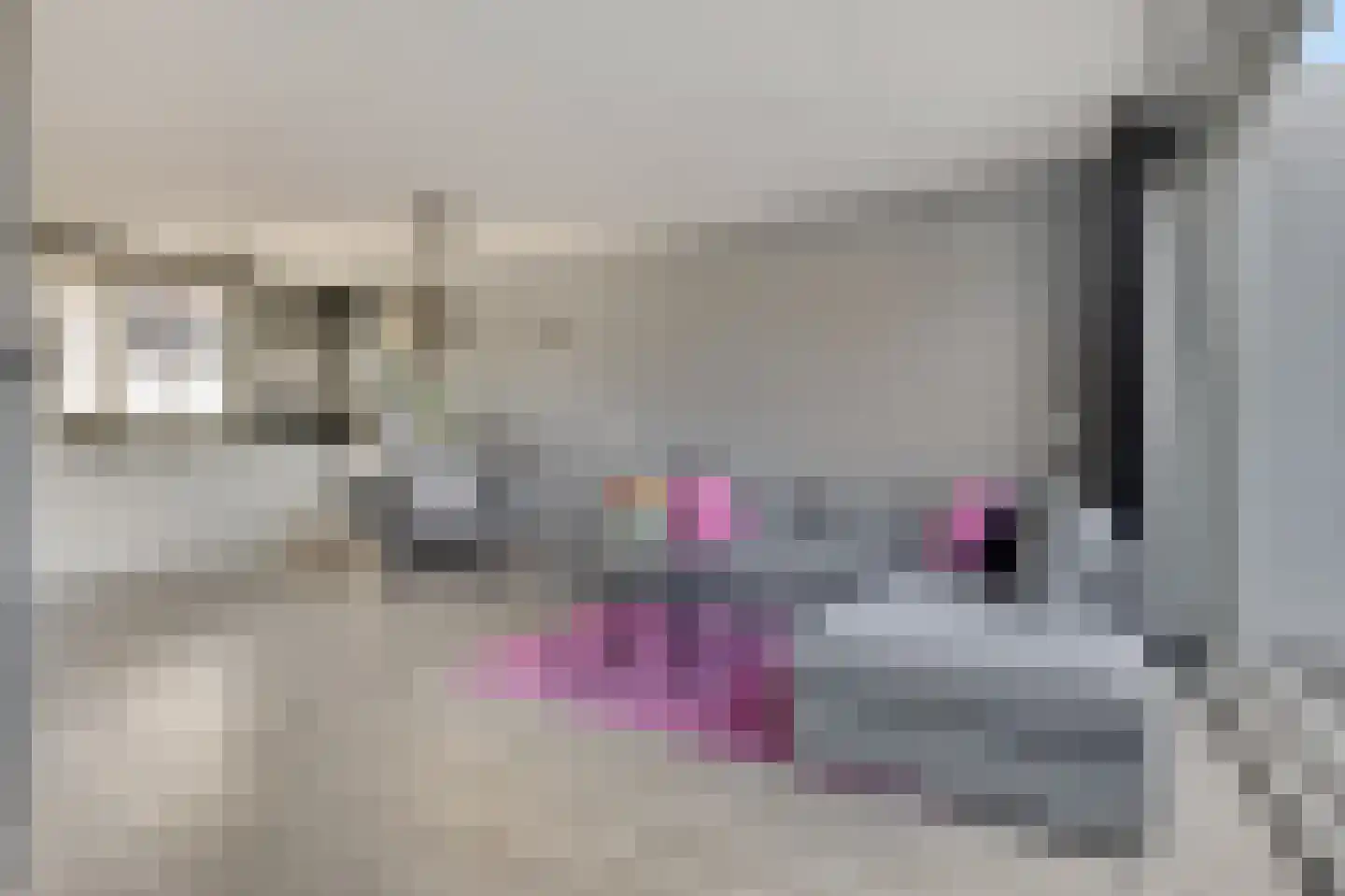 Spechtstraat 4 Duiven thumbnail 17
