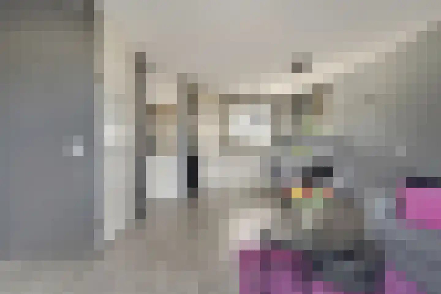 Spechtstraat 4 Duiven thumbnail 19