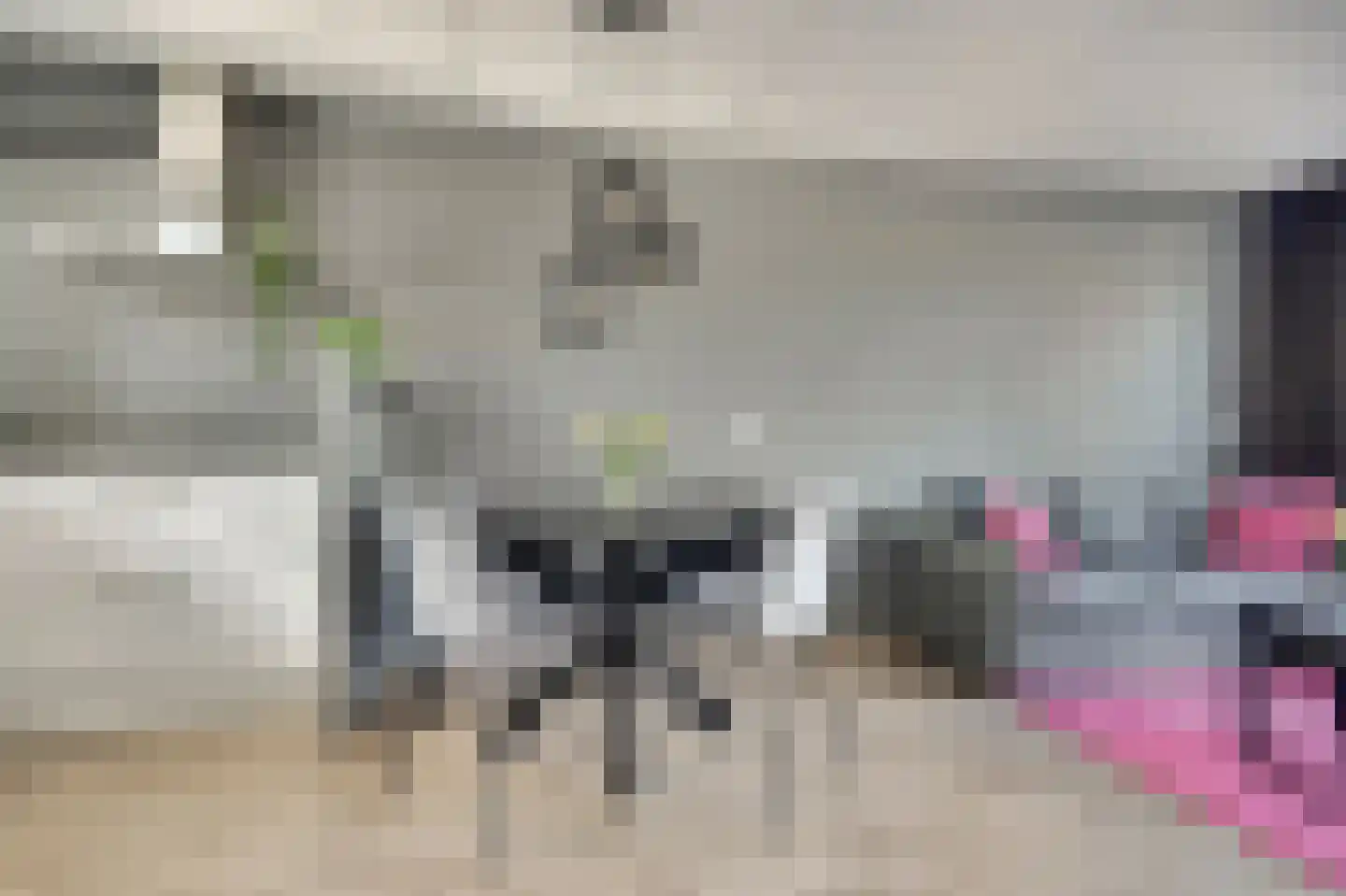 Spechtstraat 4 Duiven thumbnail 20