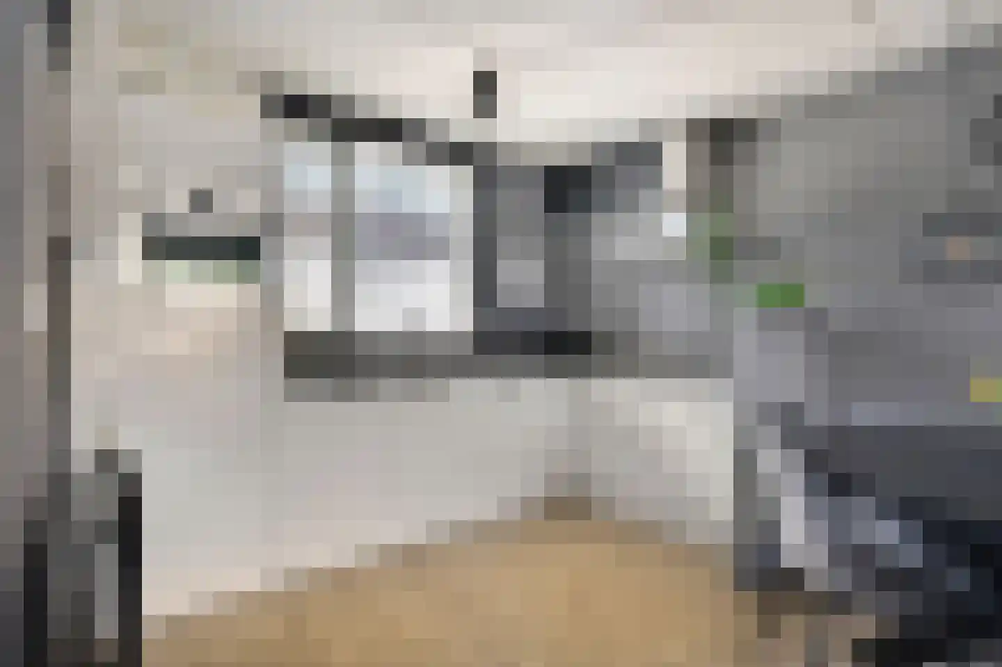 Spechtstraat 4 Duiven thumbnail 21