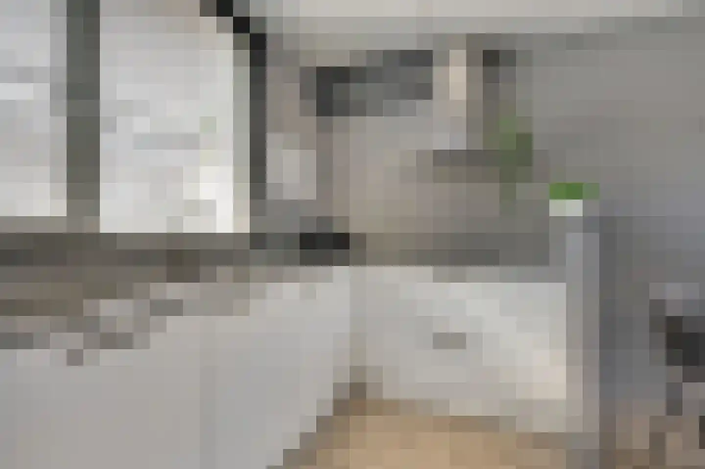 Spechtstraat 4 Duiven thumbnail 22