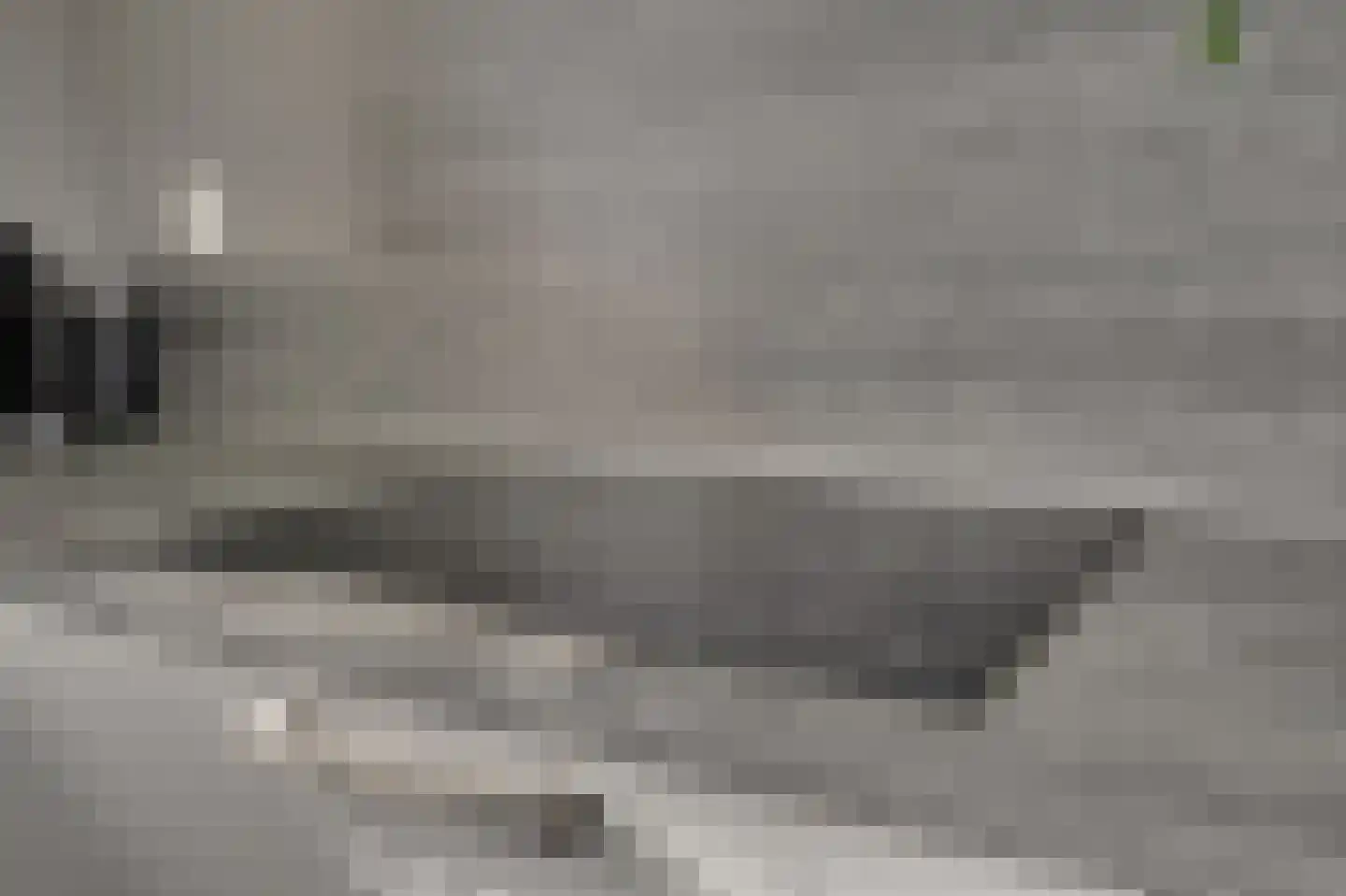Spechtstraat 4 Duiven thumbnail 24