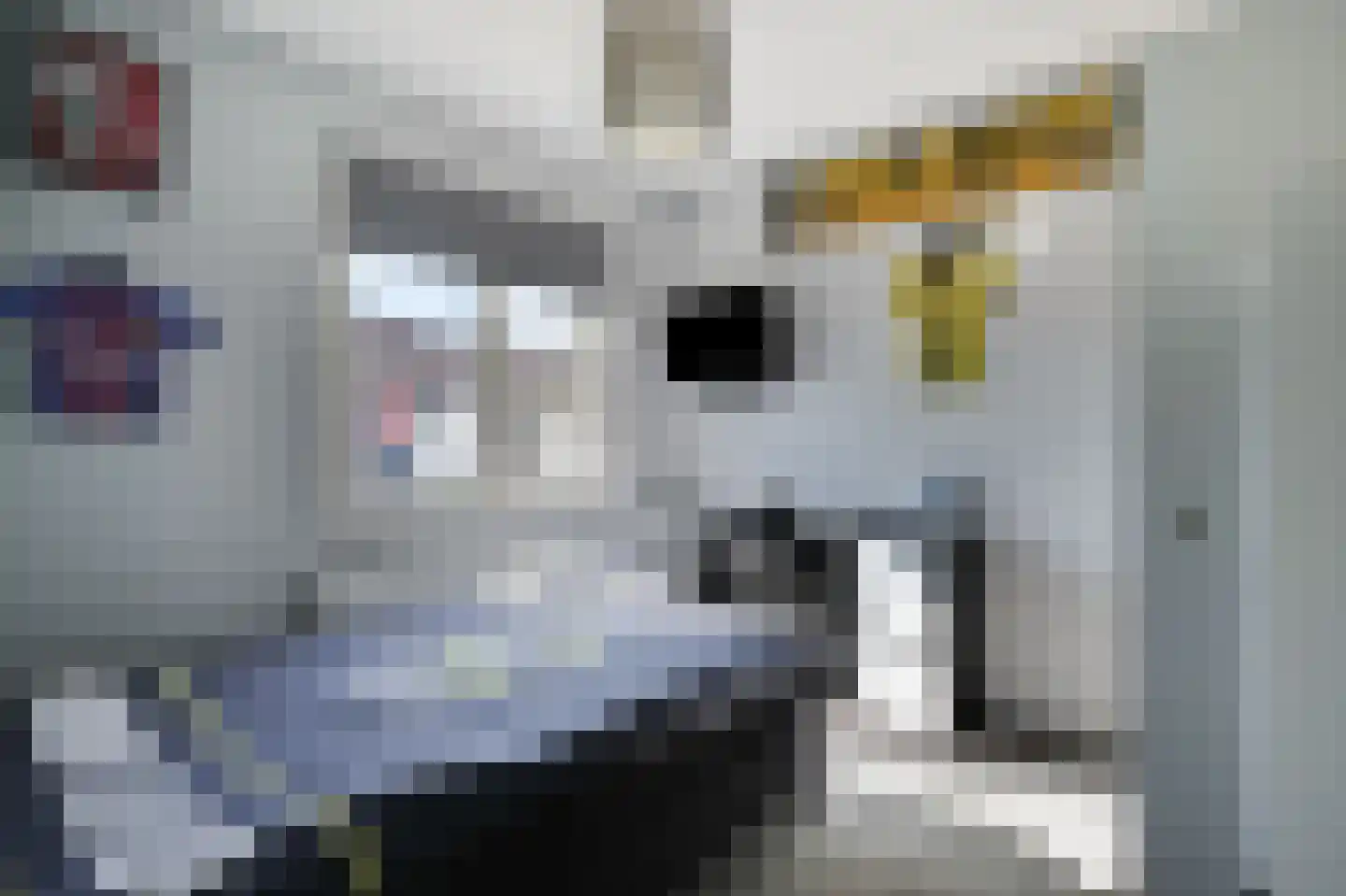 Spechtstraat 4 Duiven thumbnail 29