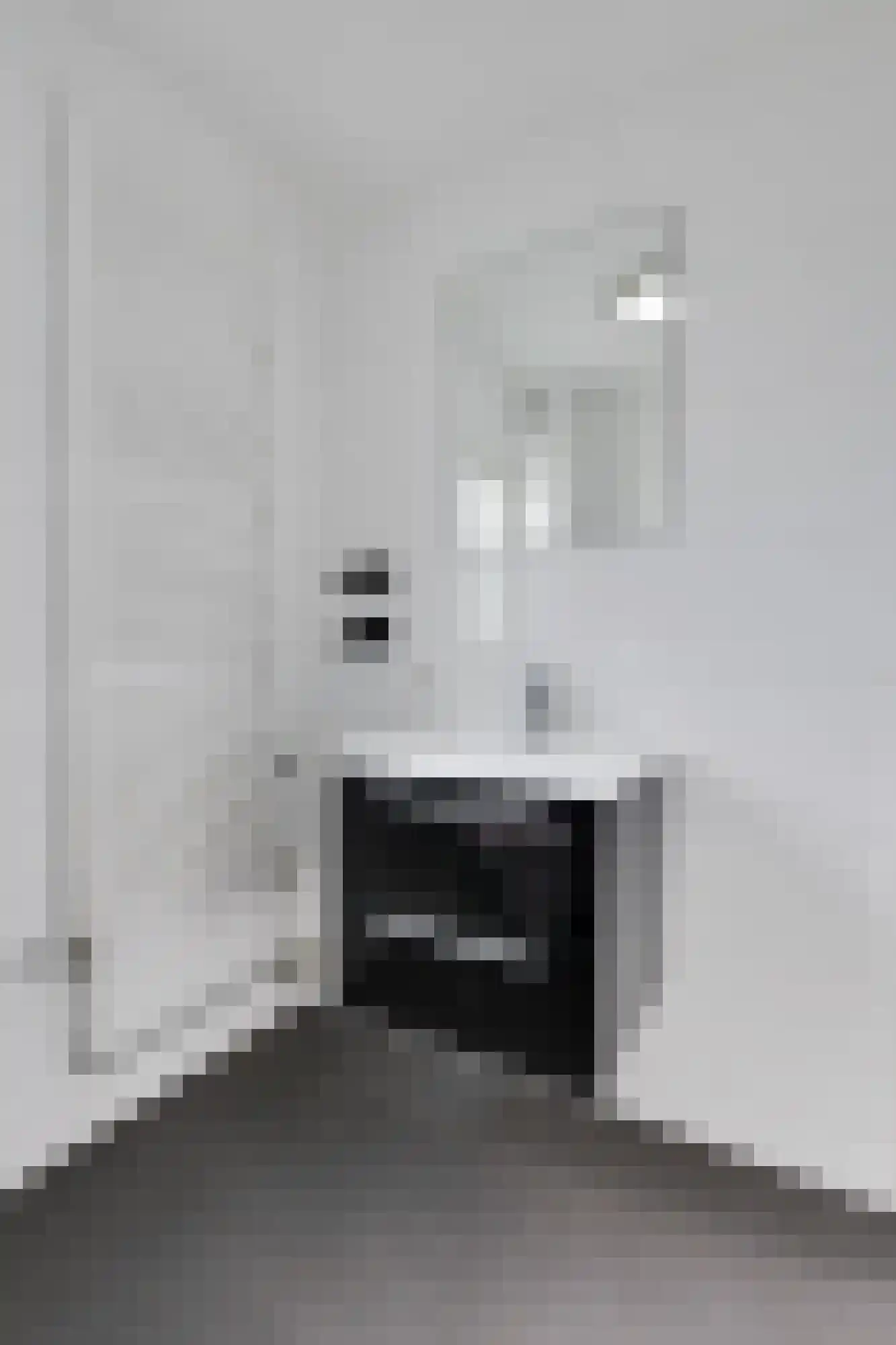 Spechtstraat 4 Duiven thumbnail 34