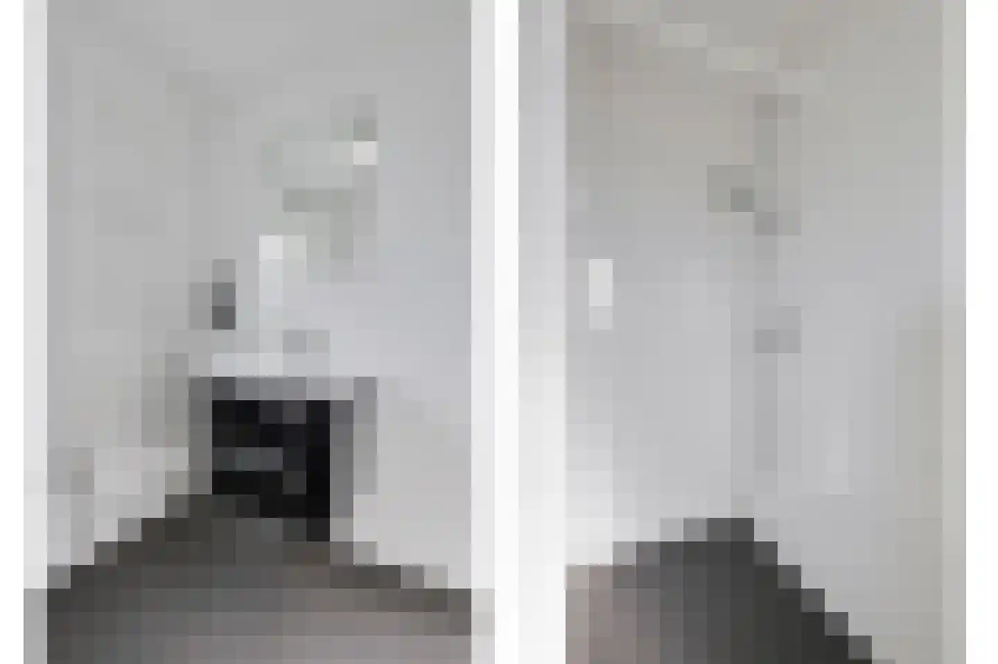 Spechtstraat 4 Duiven thumbnail 35